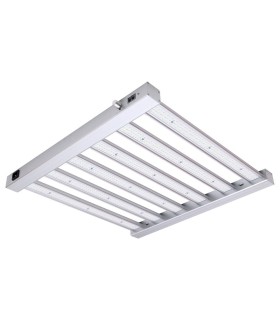 SPIDER KING 360W VANGUARD LED