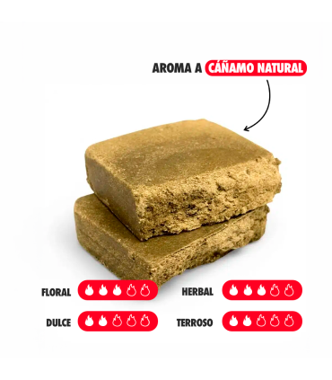 HASH Orangello CBD