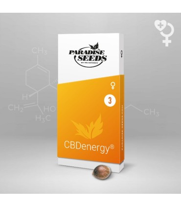 CBDenergy 3FEM