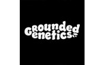 Grounded Genetics