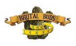Brutal Buds